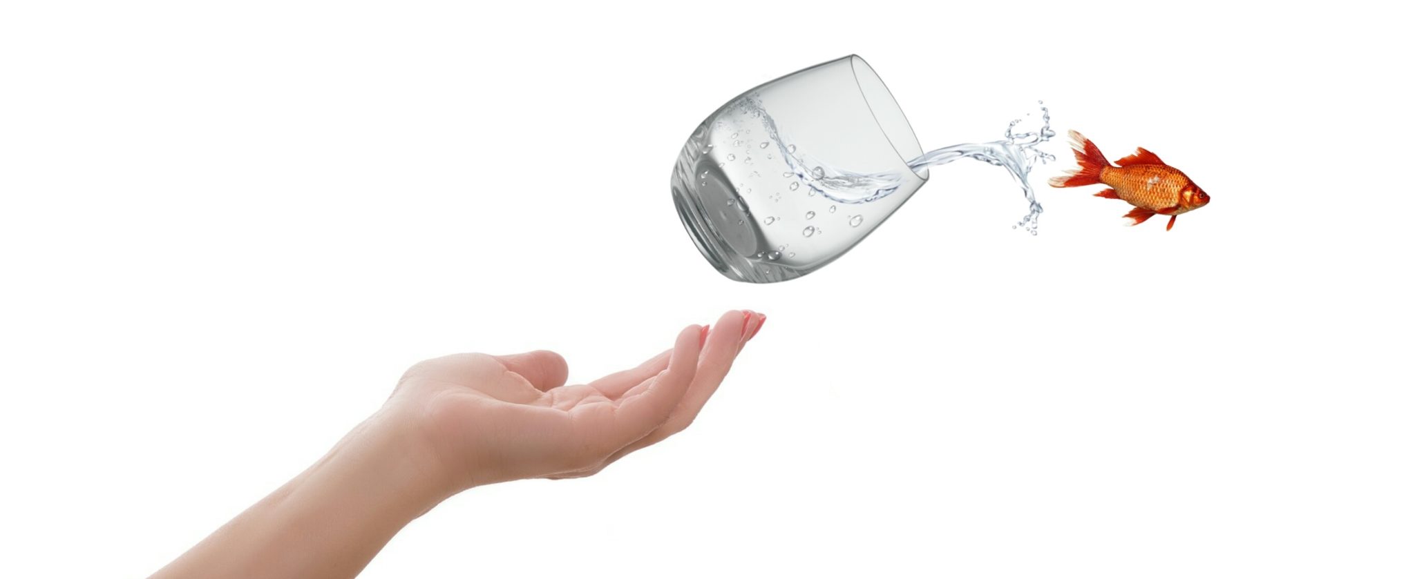 Letting Go of Bitterness After Being Betrayed