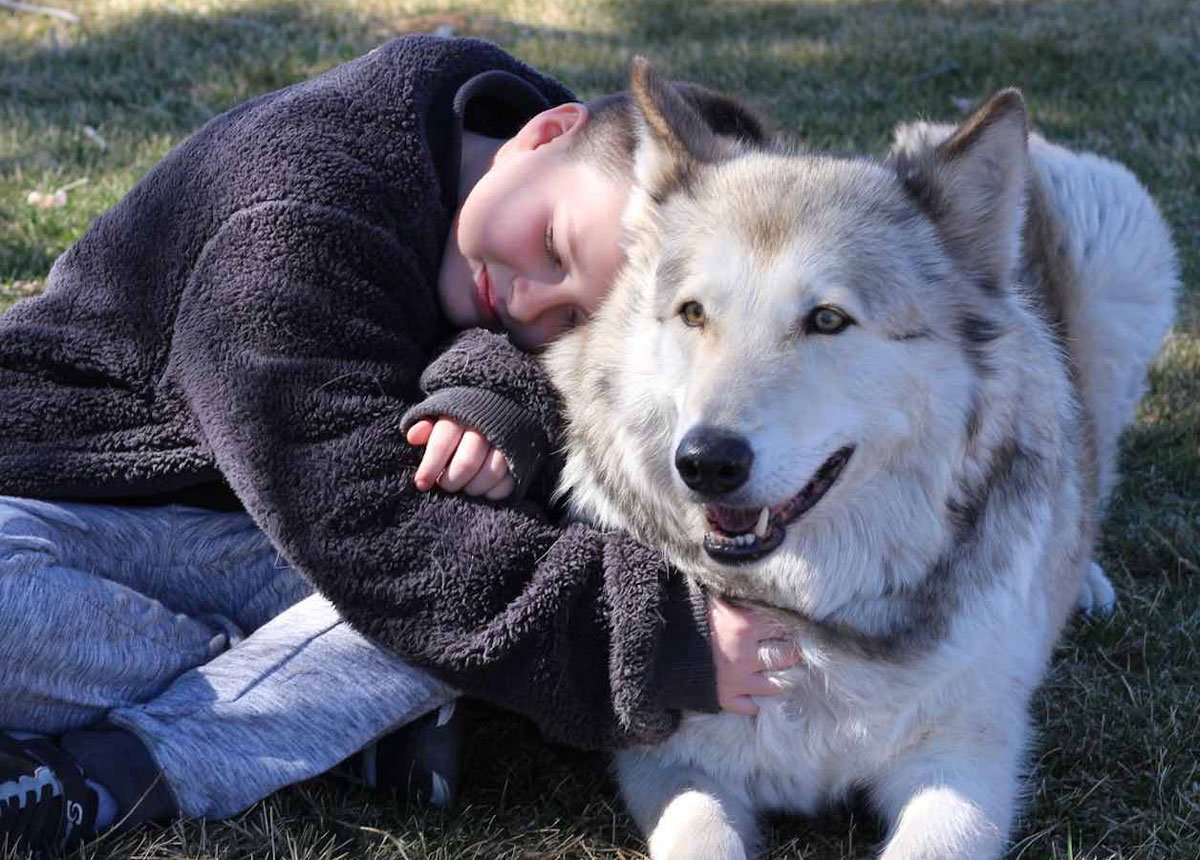 Shadowland Foundation: Changing Minds & Hearts About Misunderstood Wolves