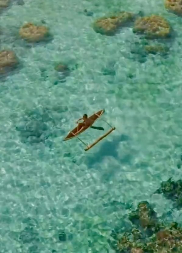 Calm TV "A World of Calm": Spending more time at home we are finding more things we love to enjoy at home! See what's good in our Staff Picks on insidewink!