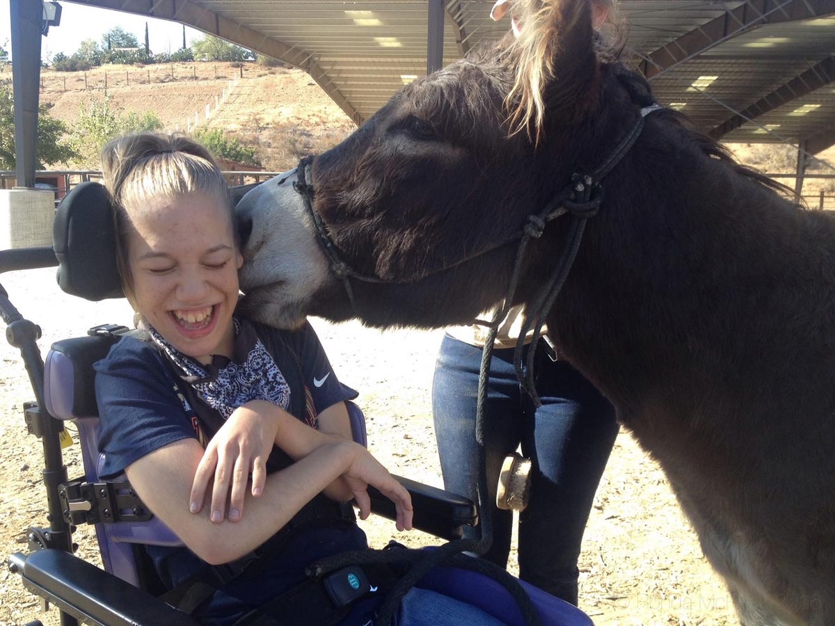 Carousel Ranch, Where Therapy is Disguised as Fun