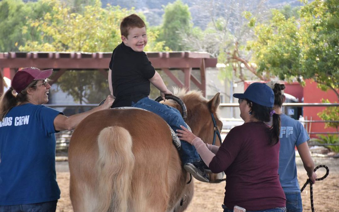 Carousel Ranch: Where Therapy is Disguised as Fun!