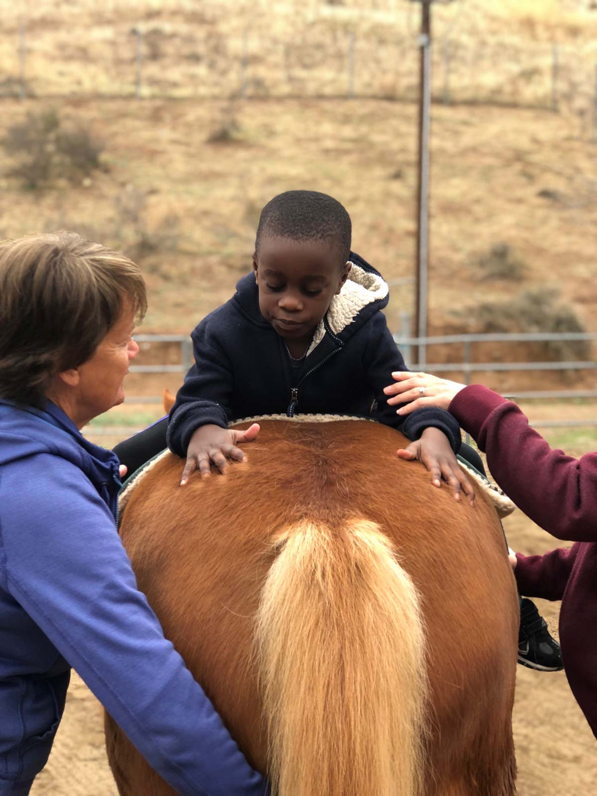 Carousel Ranch, Where Therapy is Disguised as Fun