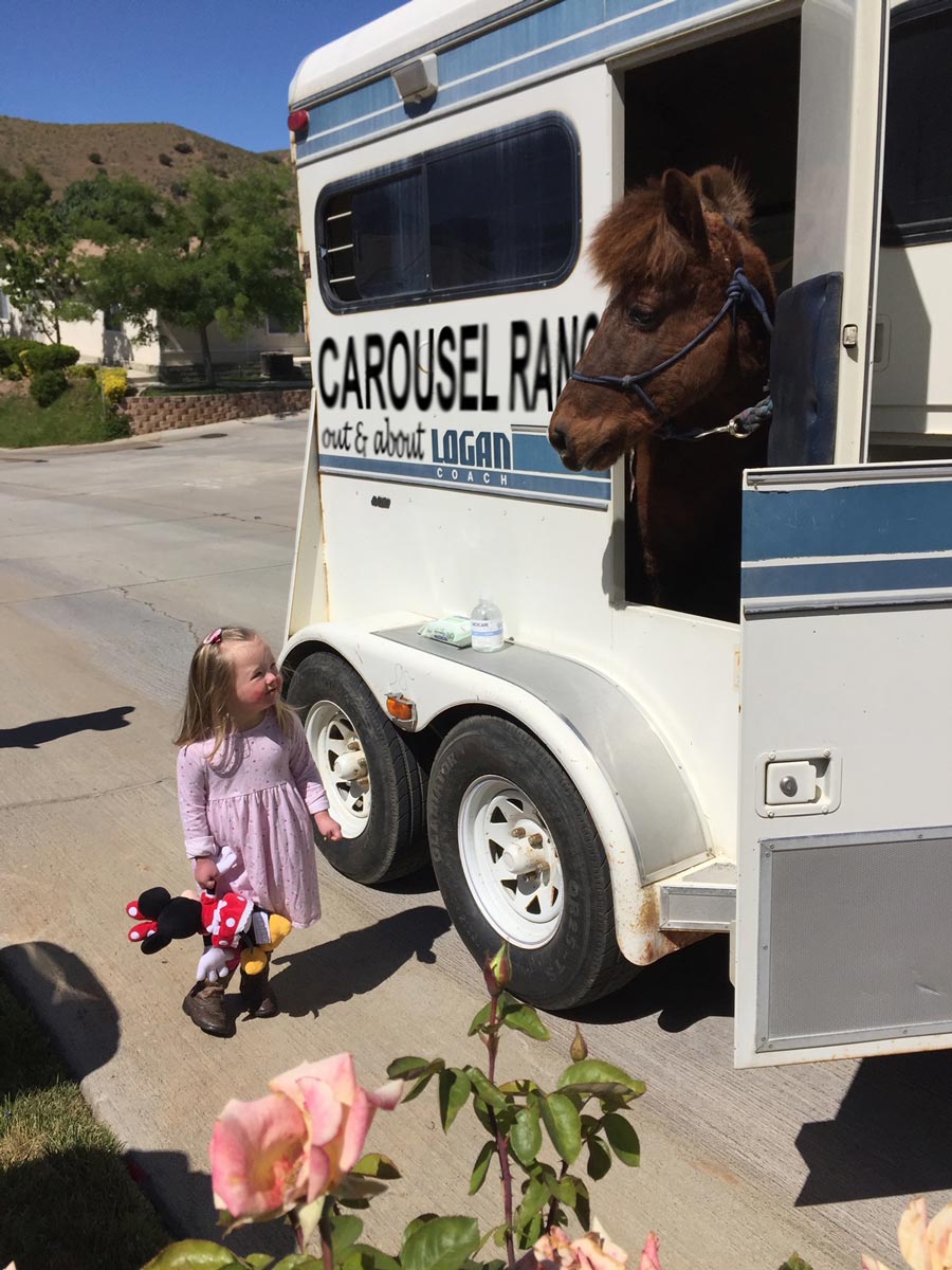 Carousel Ranch, Where Therapy is Disguised as Fun