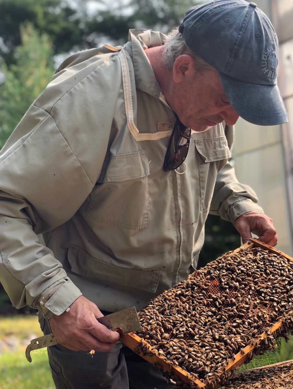 Apiary