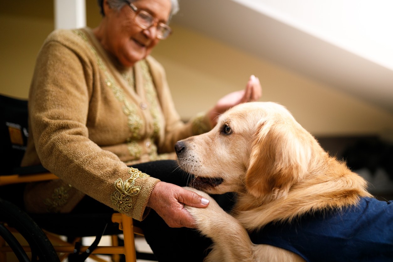 HEart & Mind How Dogs Save Lives
