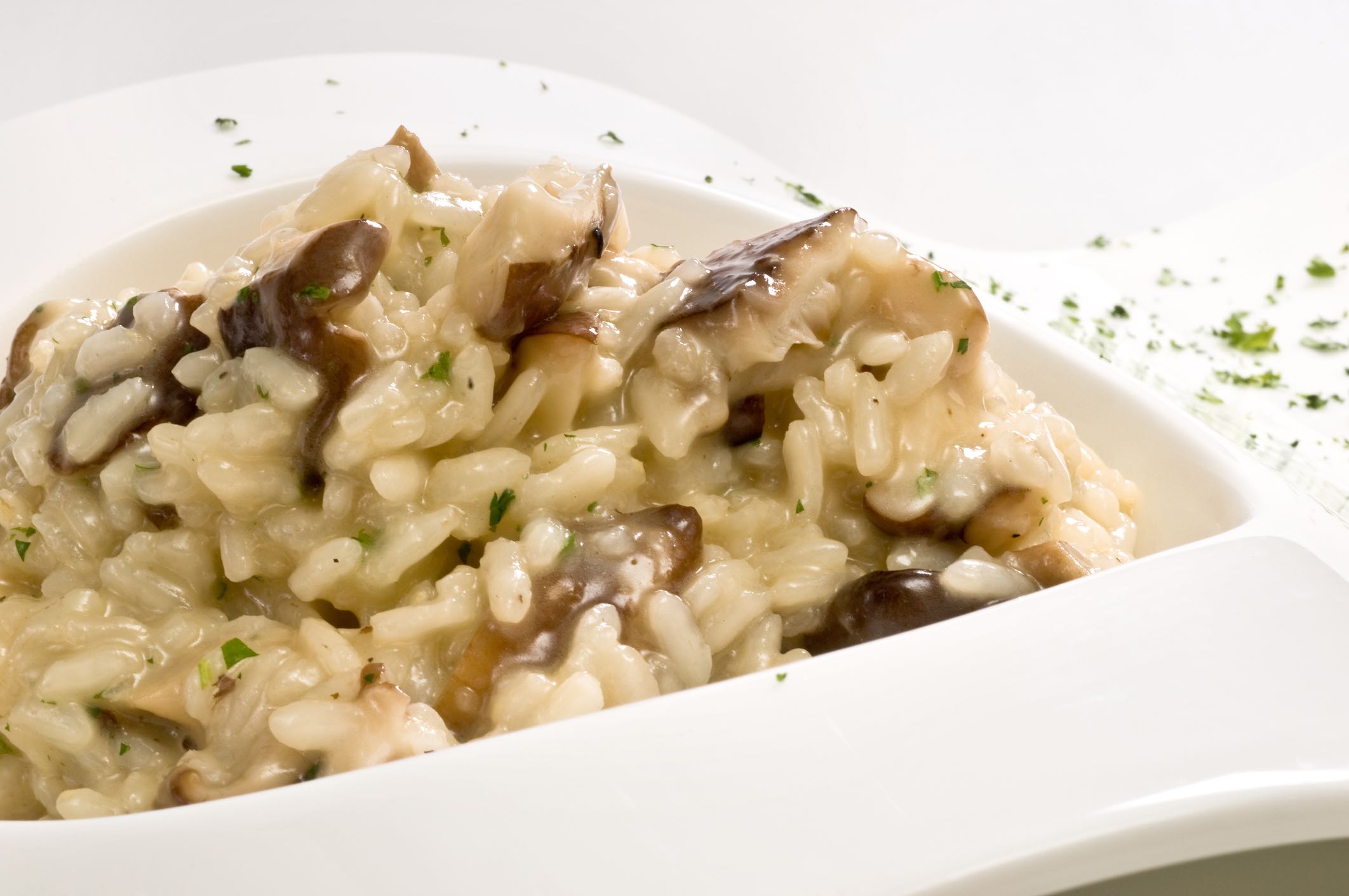 Porcini Mushroom Reliable Recipes