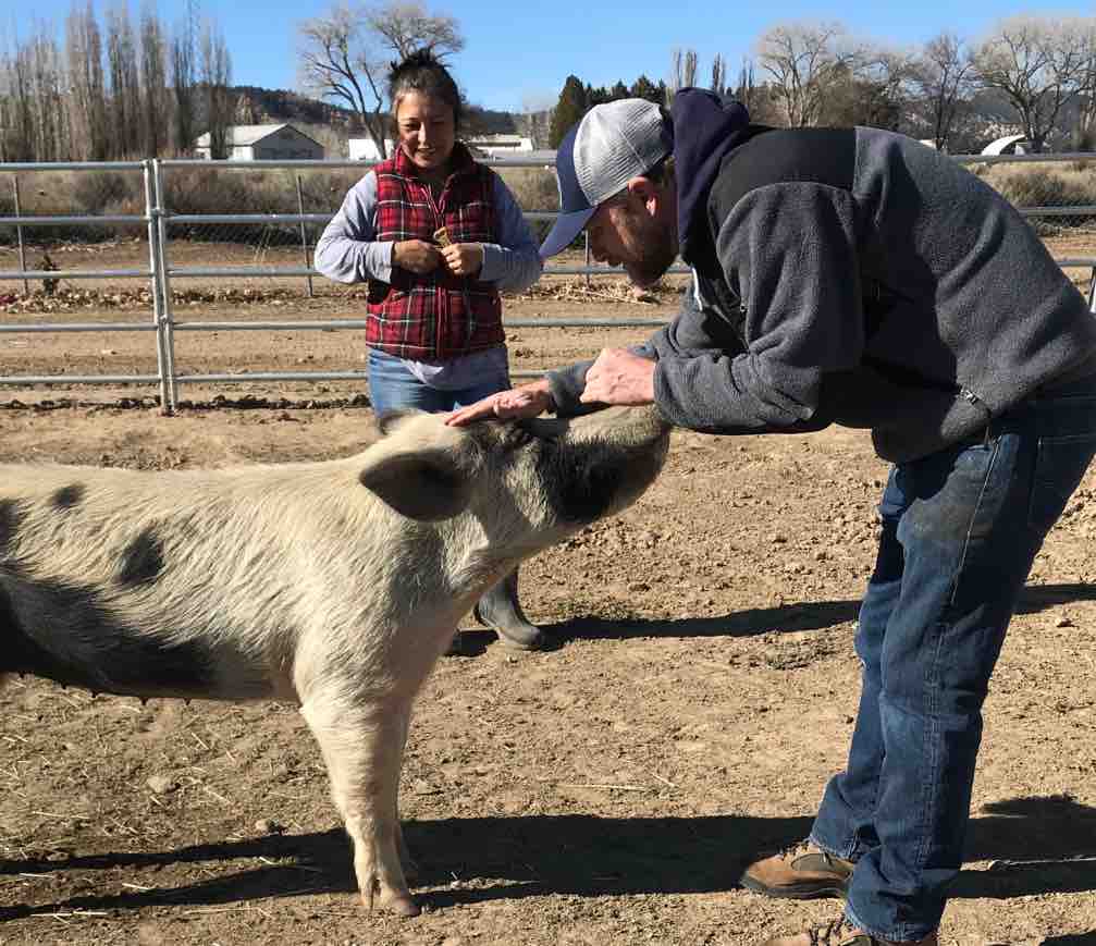 Carousel Ranch, Where Therapy is Disguised as Fun