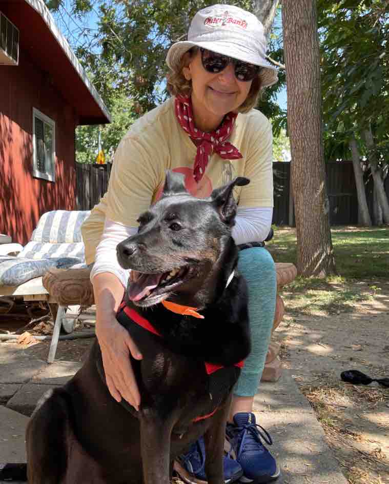 Carousel Ranch, Where Therapy is Disguised as Fun