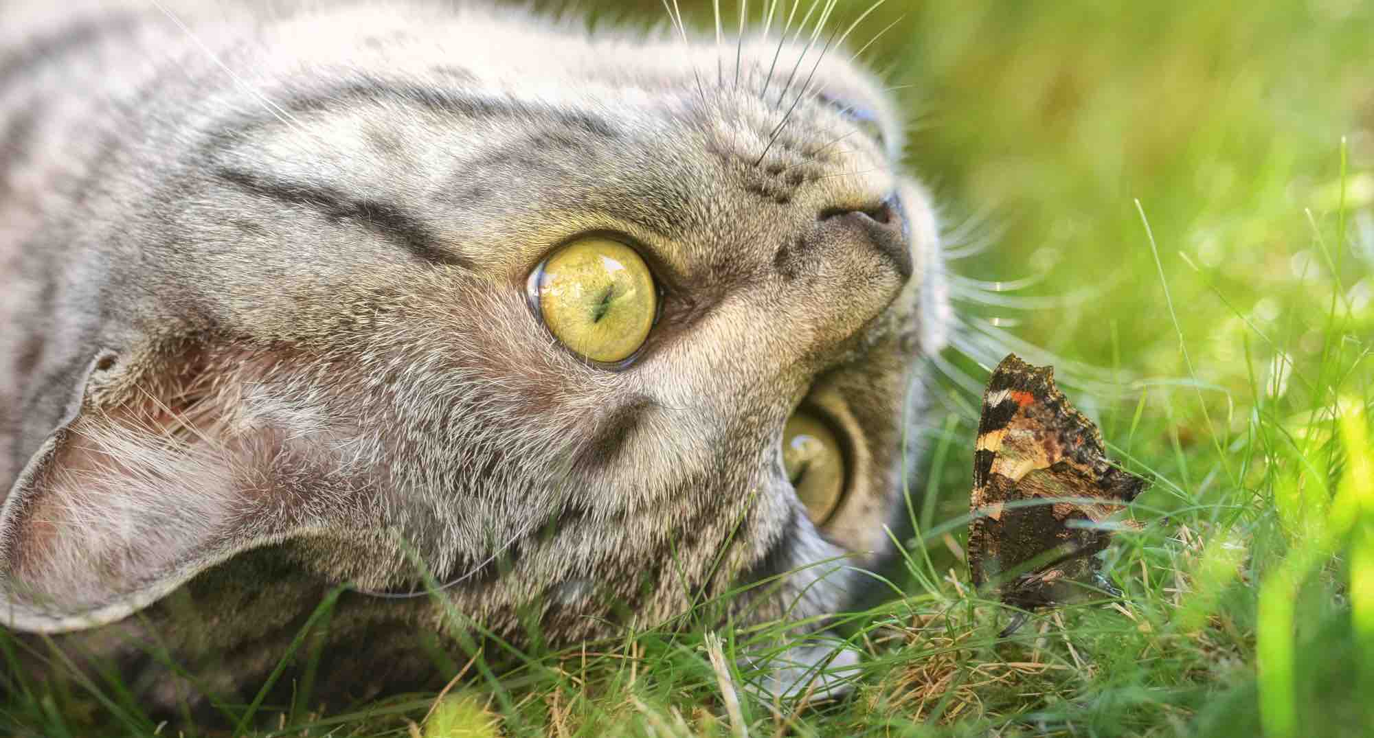 Friendship & Curiousity Jeanette Dubois
