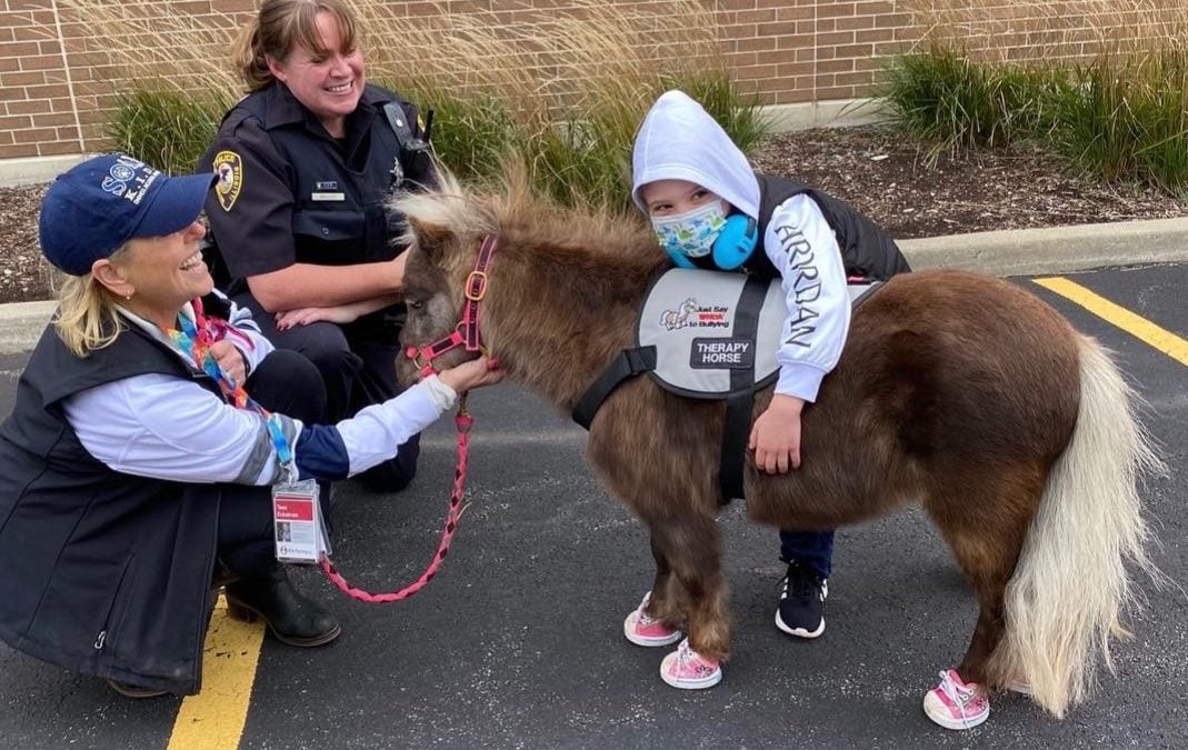 SOUL Harbour Ranch Animal Therapy Program