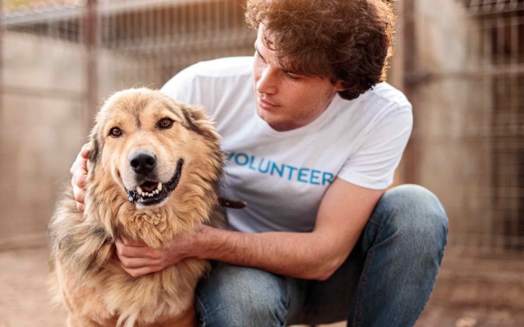 How Volunteering Can Heal Us